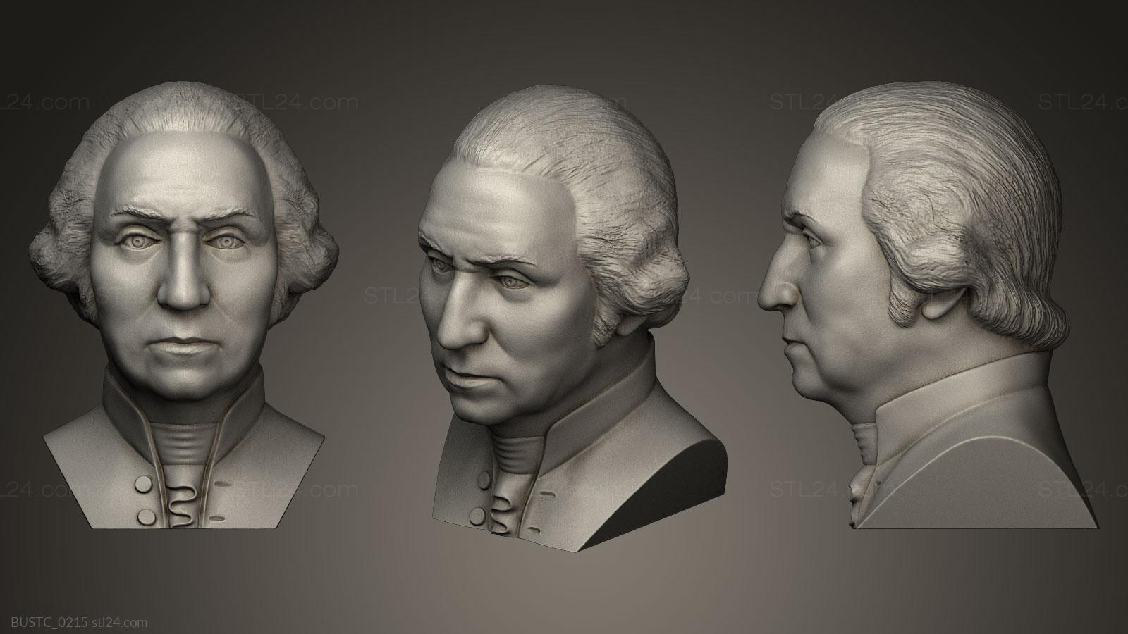 Бюсты и барельефы известных личностей (Джордж Вашингтон, BUSTC_0215) 3D модель для ЧПУ станка